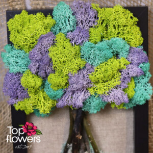 Living Picture | Fairytale Tree Detail of a living moss art piece with colorful moss – artistic decoration