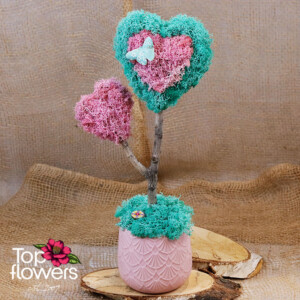 Heart made of pink and green Scandinavian moss – art décor