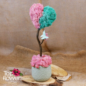 Арт инсталация Нежен хаос от скандинавски мъх в керамична кашпа – магазин за цветя