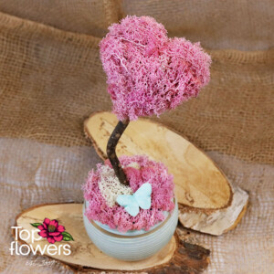 Арт облаче Розов шум от скандинавски мъх в керамична кашпа – магазин за цветя