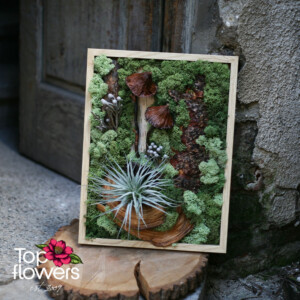 Living picture made of Scandinavian moss The Magic of the Forest with tillandsia