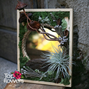 Living Picture | Forest Reflection Decorative living picture with tillandsia and natural materials