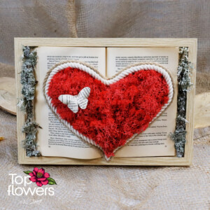 Living Picture | Heart in a Book