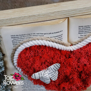 Living Picture | Heart in a Book