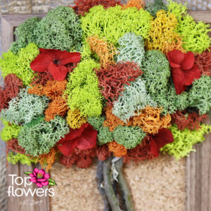 Living picture | Natural Flame Detail of a living picture with colorful moss and red accents