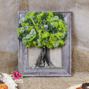 Living moss wall art tree in green tones – flower shop