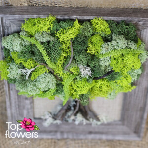 Living Picture | Forest Green Artistic tree moss wall art – a gift with flower delivery