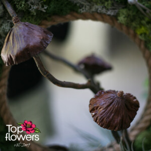 Детайл от декоративни гъби и естествени елементи в жива картина