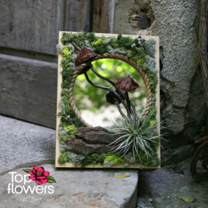 Жива картина с тиландсия и скандинавски мъх в природна композиция