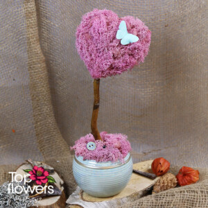 Арт композиция със скандинавски мъх сърце в керамична кашпа – магазин за цветя