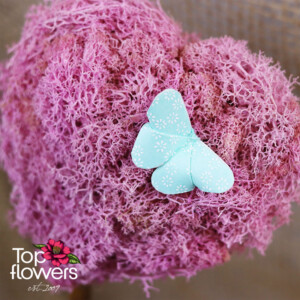 Арт Облаче | Облачно настроение Детайл от розов скандинавски мъх във форма на сърце с декоративна пеперуда