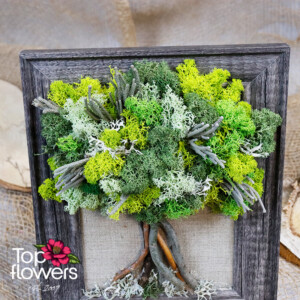 Living Picture | Forest Green