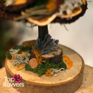 Арт Инсталация | Елхичка „Еко Коледа“ Близък план на текстури от мъх, лишеи и дърво в арт елхичка „Еко Коледа“ – Top Flowers