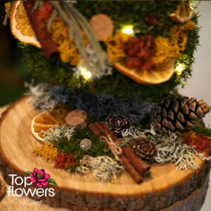 Арт Инсталация | В сърцето на гората Детайл от основата на елхичка от мъх с канела, портокал и шишарки - Top Flowers