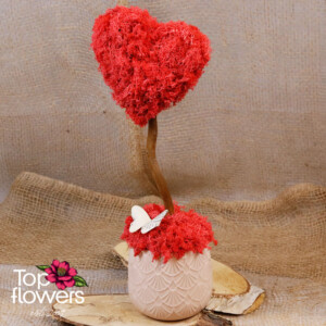 Art Cloud Red Passion made of Scandinavian moss in a ceramic pot – flower shop