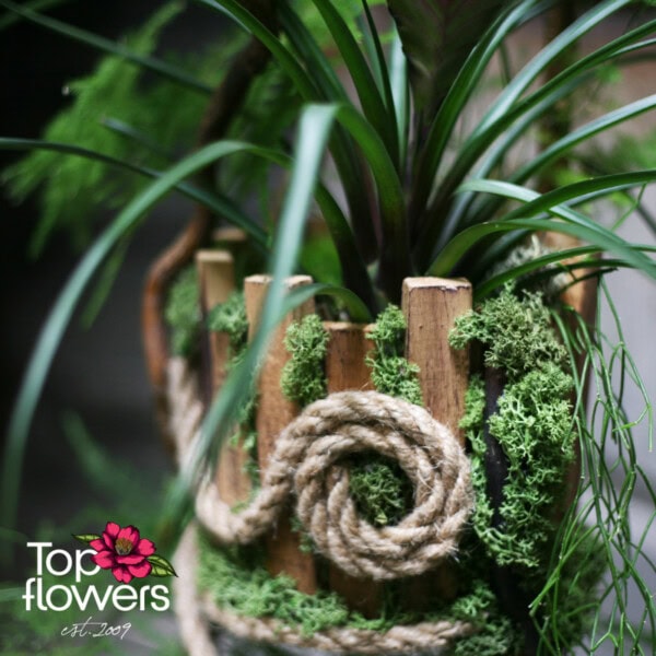 Art Installation | Forest Fantasy - Image 5