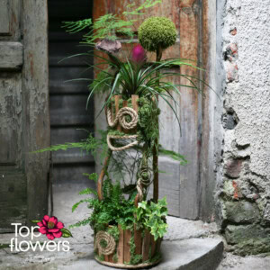 Art Installation | Forest Fantasy