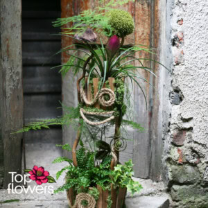 Art Installation | Forest Fantasy