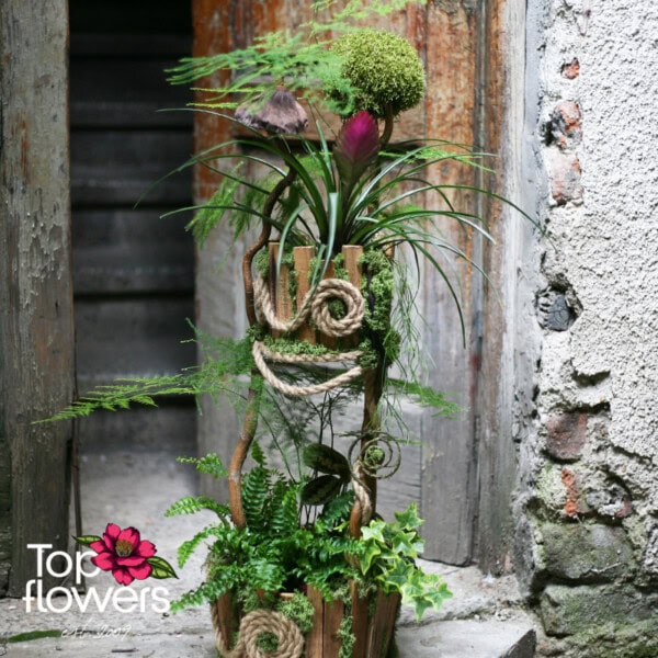 Art Installation | Forest Fantasy