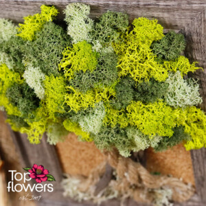 Ръчно изработена жива картина от мъх за интериорен декор