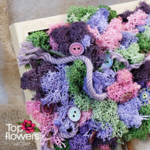 Living Picture | Seasonal Memory