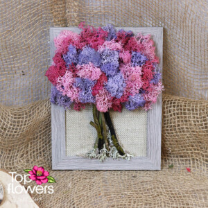 Living moss wall art in pink and purple tones