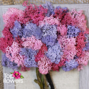 Living Picture | Contrast Detail of a living moss artwork with floral elements – modern décor