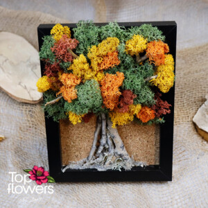 Living Picture | Contrast