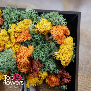 Living Picture | Contrast