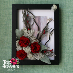 Living picture with red roses and Scandinavian moss in a black frame