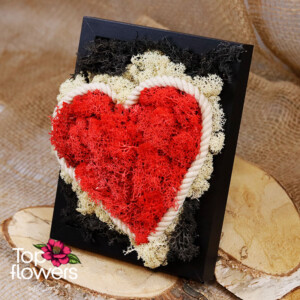 Living Picture | Illusion XIV