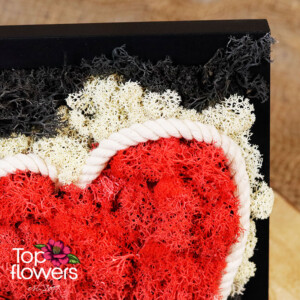 Living Picture | Illusion XIV