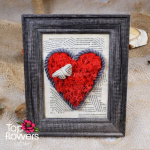 Living Picture | Illusion XIV