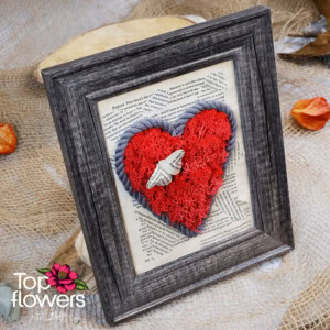 Living Picture | Illusion XIV