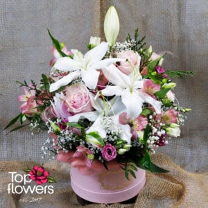 Ilaila | Arrangement