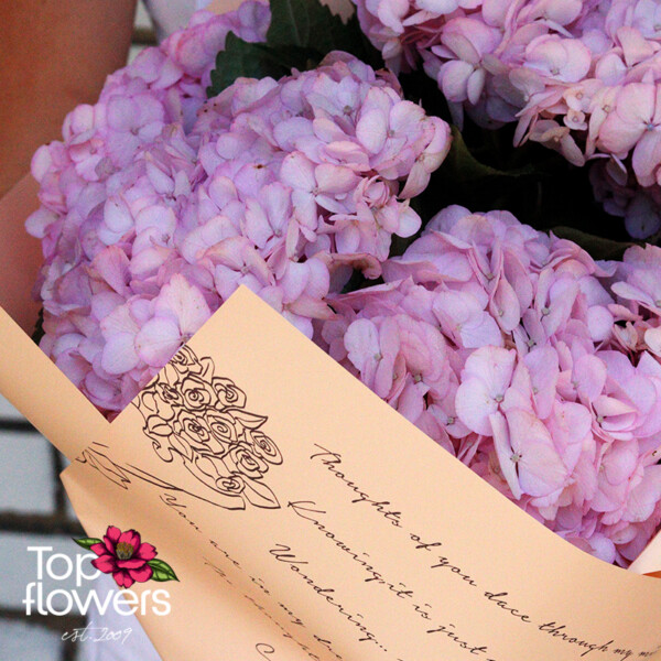 Detail of a pink hydrangea with luxury wrapping and label