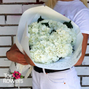White Magic bouquet of white hydrangeas presented in elegant wrapping