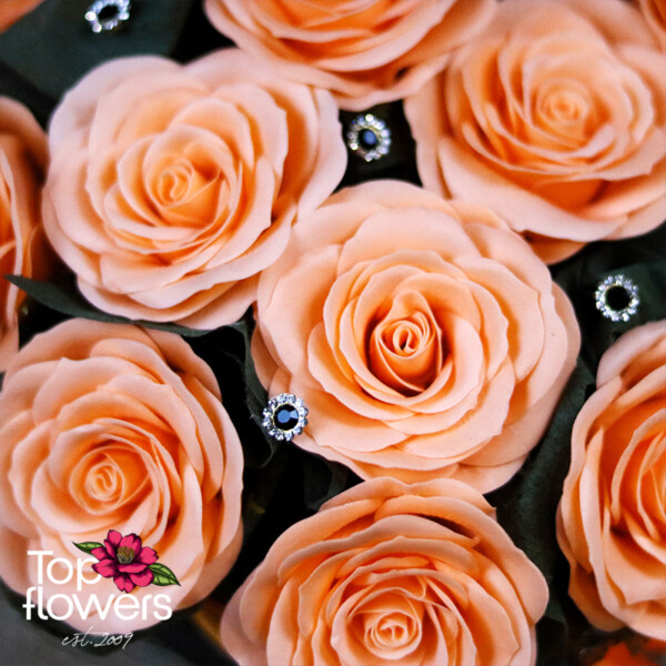 Detail of soap roses in a warm peach hue
