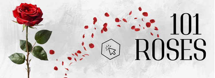 101 roses on best quality and prices