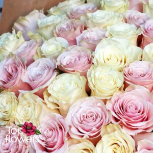 Luxurious bouquet of pink and white roses for a special occasion
