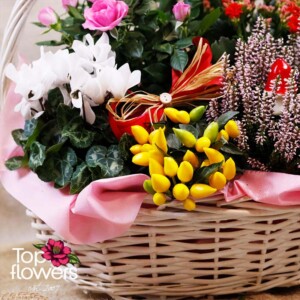 Arrangement with roses, cyclamen, heather, and decorative accents