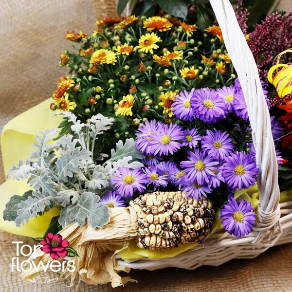 Yellow chrysanthemums and autumn greenery in a basket with live plants