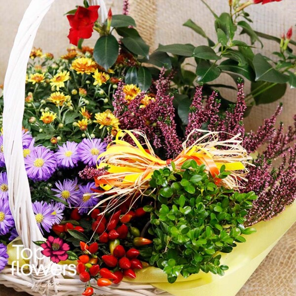 Decorative composition with red flowers, heather, and multicolored accents