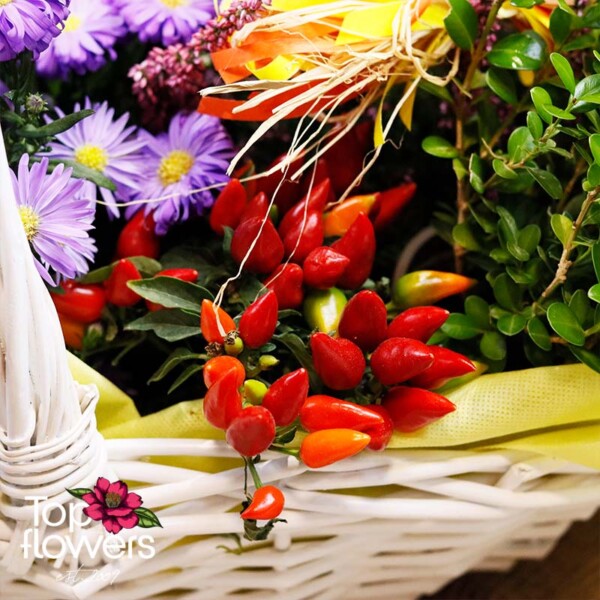 Detail of red ornamental peppers and green foliage in a basket
