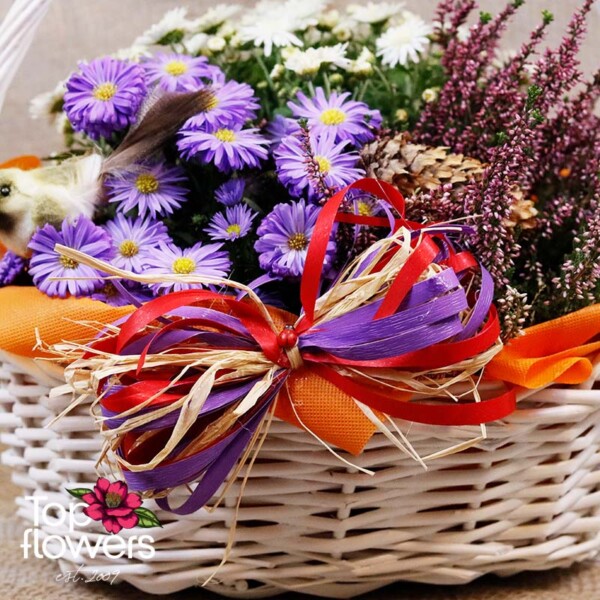 White basket with live plants and colorful decoration “Meadow Breeze”