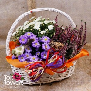 Basket “Meadow Breeze” with white chrysanthemums and purple asters