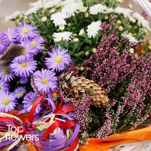 Autumn arrangement with chrysanthemums, asters, and a pine cone in a basket