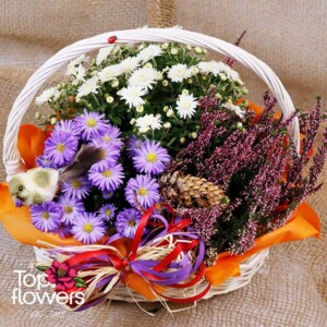 Basket “Meadow Breeze” with white chrysanthemums and purple asters