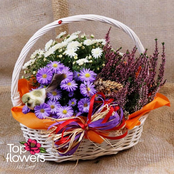Basket “Meadow Breeze” with white chrysanthemums and purple asters