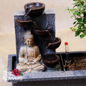 Бонсай с фонтан Буда | Кармона (Carmona)